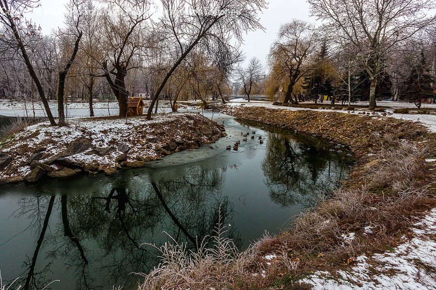 Outdoors, Pond, Water, Creek, River, Landscape, Nature