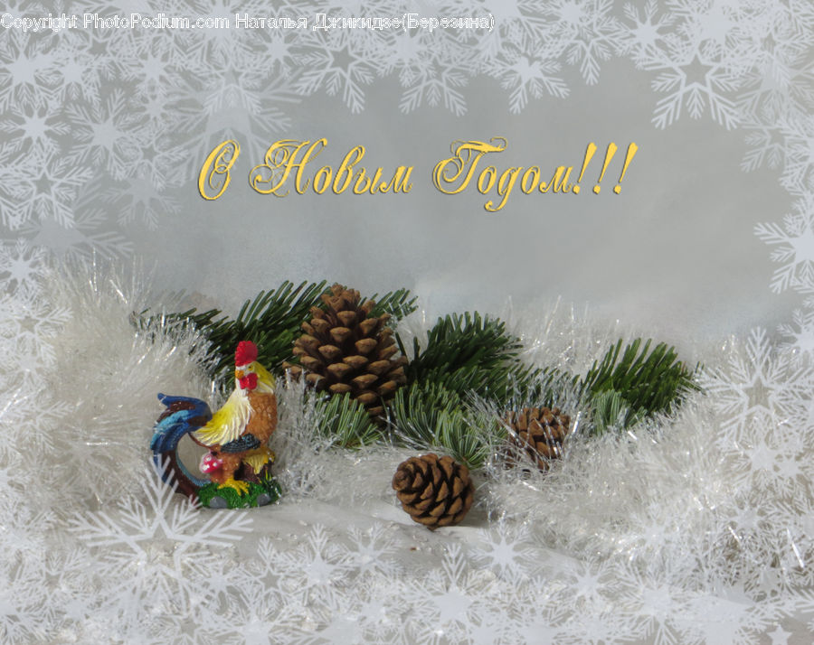 Conifer, Fir, Plant, Tree, Bird, Chicken, Cock Bird