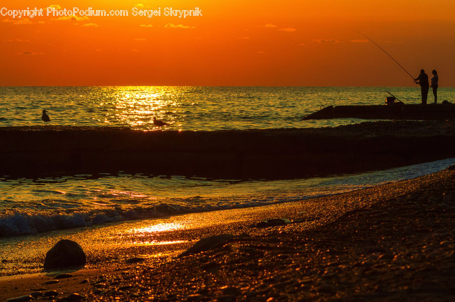 Beach, Coast, Outdoors, Sea, Water, Landscape, Nature