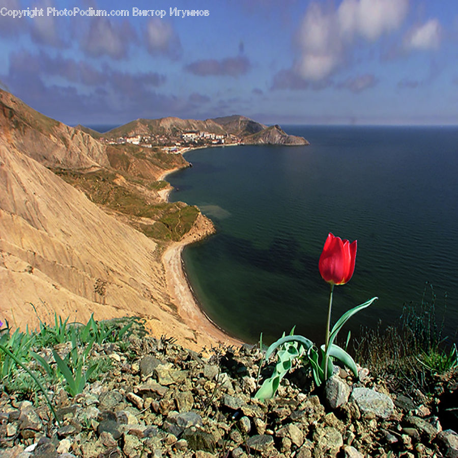 Soil, Coast, Outdoors, Sea, Water, Canyon, Valley