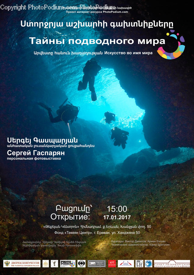 Brochure, Flyer, Poster