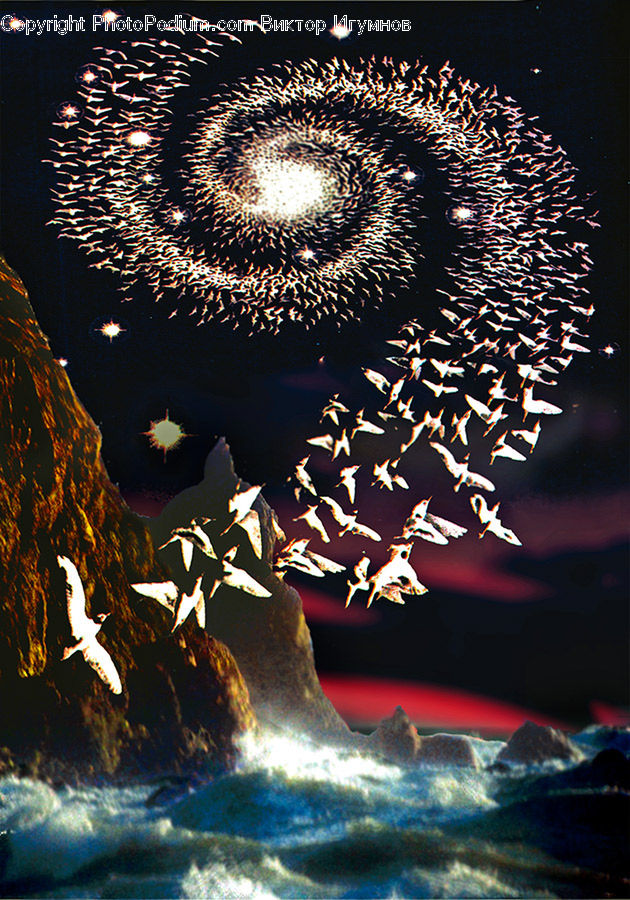 Fractal, Outdoors, Sea, Water, Blossom, Flora, Flower