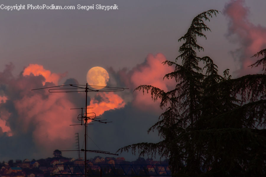 Dawn, Dusk, Red Sky, Sky, Sunrise, Sunset, Silhouette