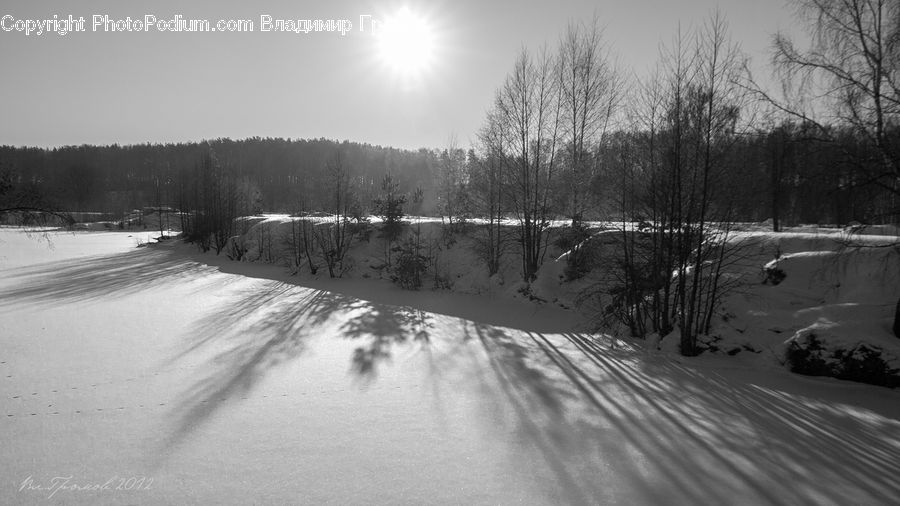 Ice, Outdoors, Snow, Forest, Vegetation, Sand, Soil