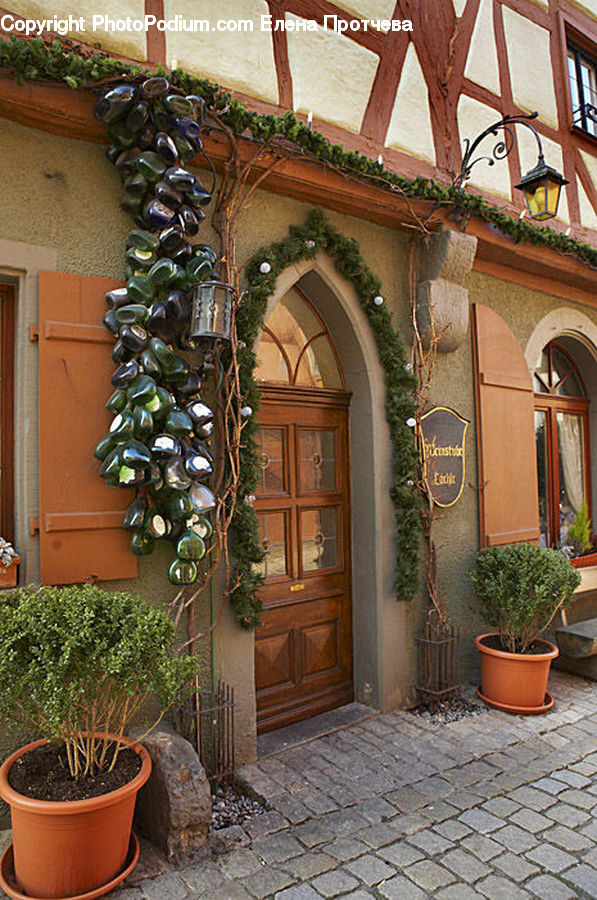 Patio, Plant, Potted Plant, Pot, Pottery, Building, Cottage