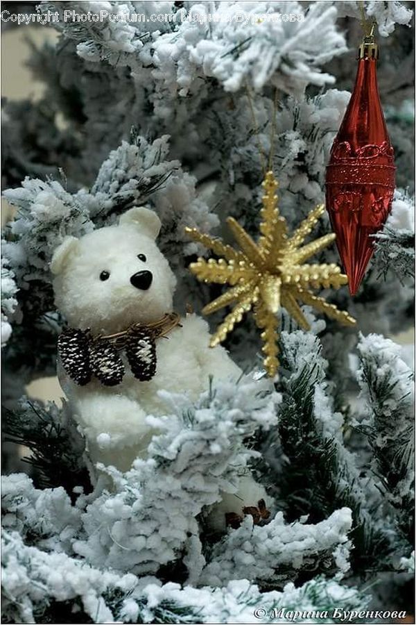 Plant, Potted Plant, Ice, Snow, Snowman, Winter, Outdoors