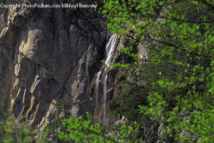 Algae, Cliff, Outdoors, Moss, Plant, Forest, Jungle