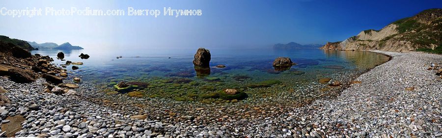Coast, Outdoors, Sea, Water, Coral Reef, Reef, Sea Life