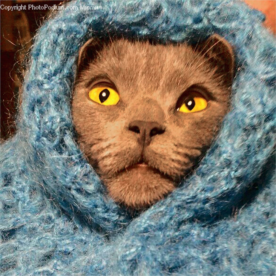 Blanket, Home Decor, Quilt, Towel, Cap, Hat, Face