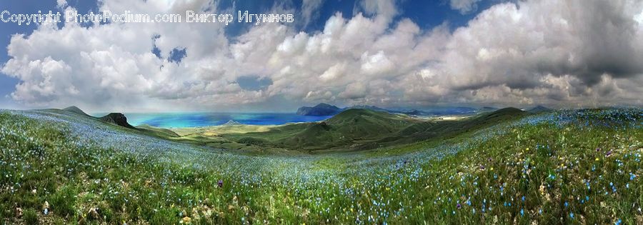 Field, Grass, Grassland, Land, Outdoors, Plant, Azure Sky