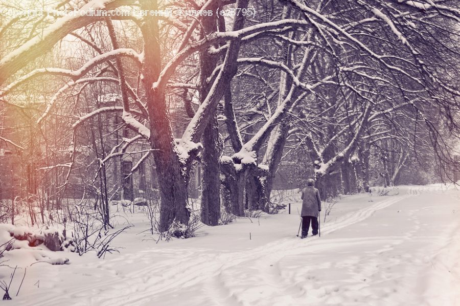People, Person, Human, Blizzard, Outdoors, Snow, Weather