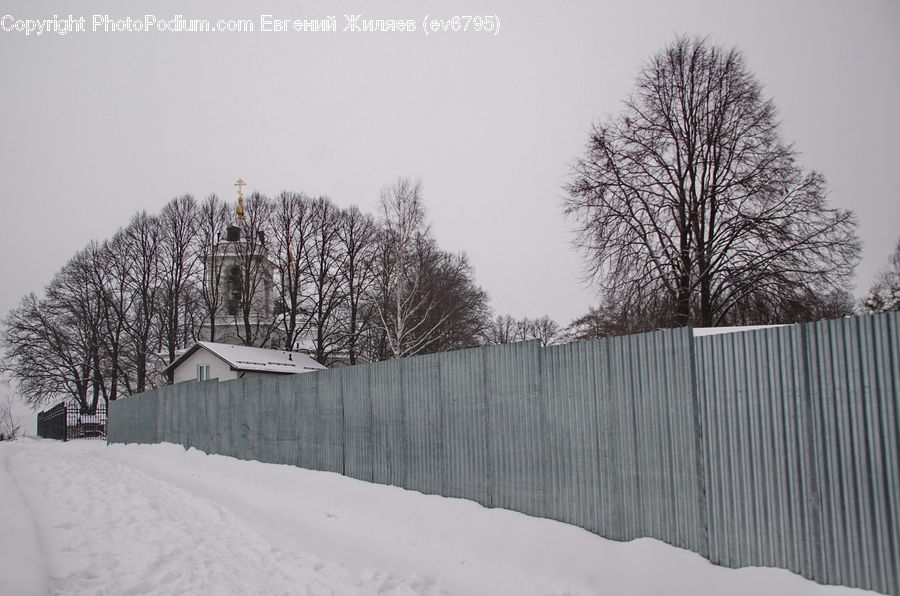 Fence, Ice, Outdoors, Snow, Plant, Tree