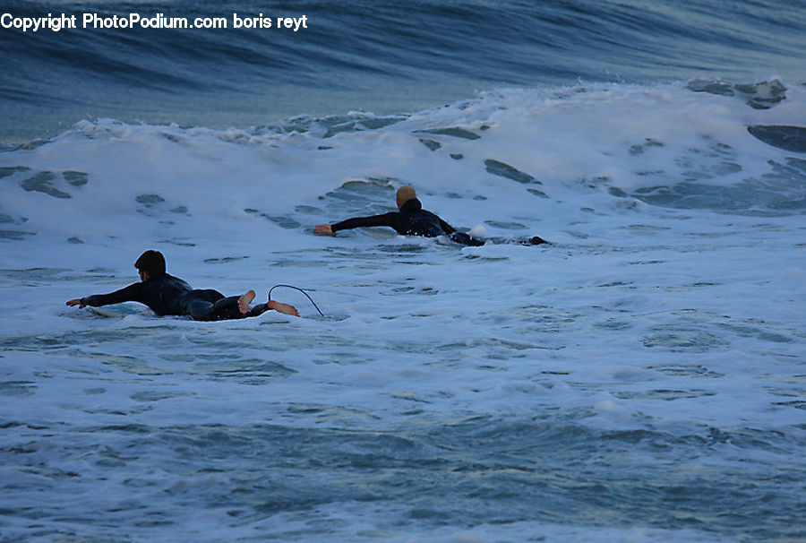 Sport, Swimming, Water, Bird, Duck, Teal, Waterfowl