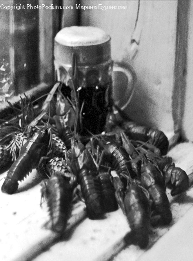 Alien, Arachnid, Insect, Invertebrate, Scorpion