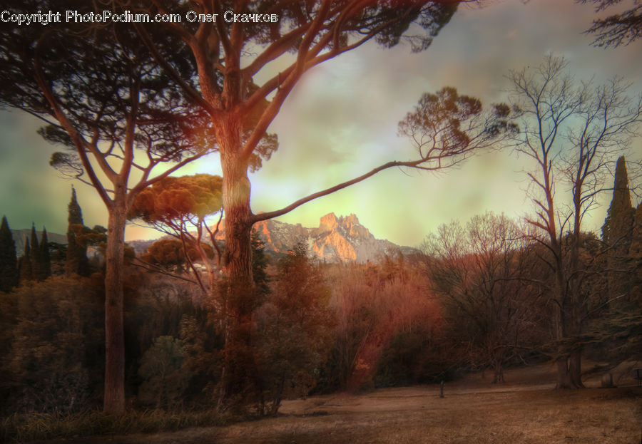 Dawn, Dusk, Sky, Sunrise, Sunset, Dirt Road, Gravel