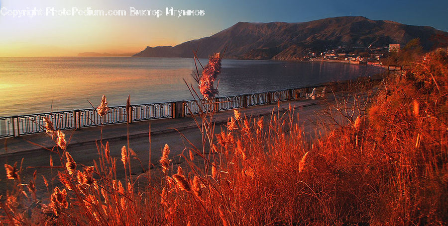 Dawn, Dusk, Sky, Sunrise, Sunset, Coast, Outdoors