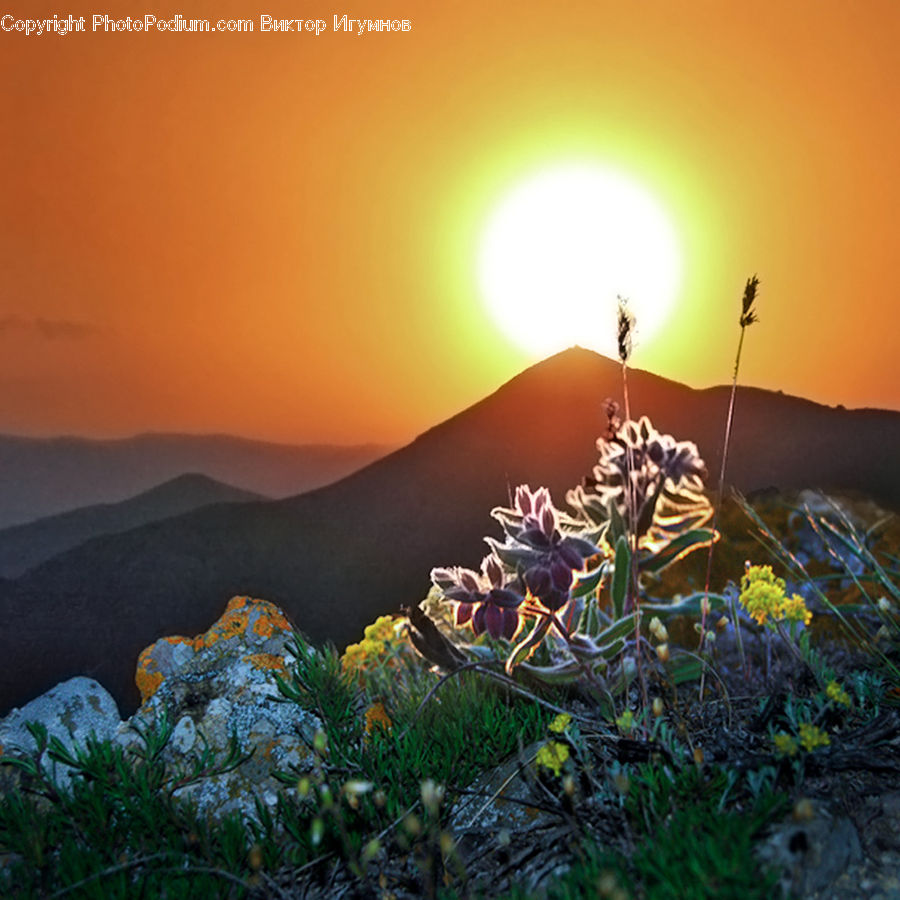 Flare, Light, Sunlight, Dawn, Dusk, Sky, Sunrise