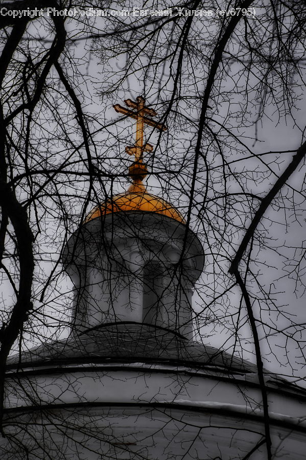 Plant, Tree, Architecture, Bell Tower, Clock Tower, Tower, Cathedral