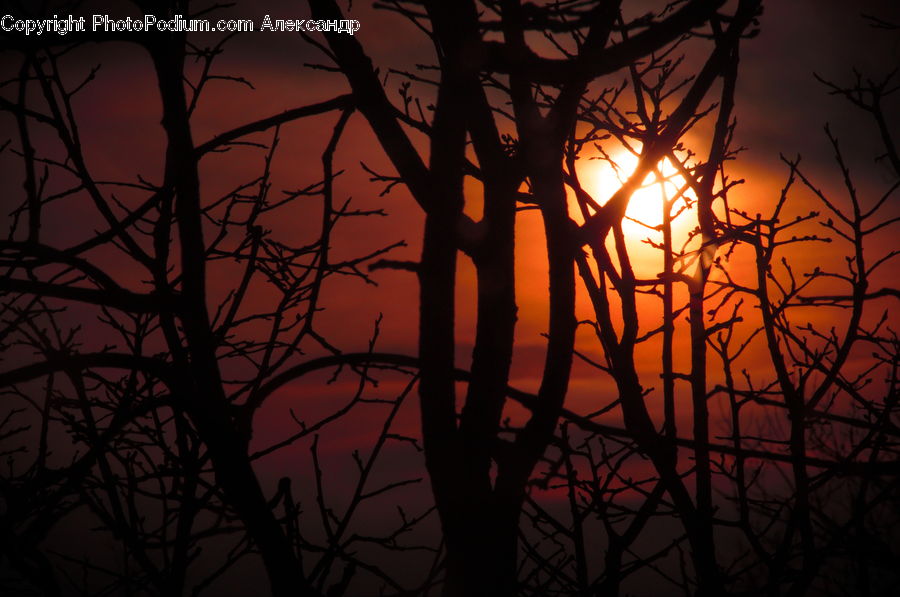Dusk, Outdoors, Sky, Sunlight, Sunrise, Sunset, Dawn