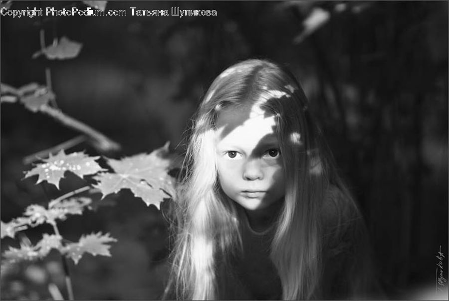 People, Person, Human, Blossom, Cherry Blossom, Flower, X-Ray
