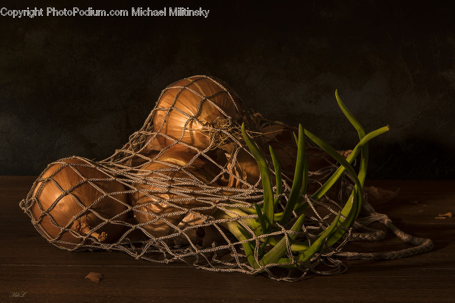 Sphere, Flower Arrangement, Ikebana, Plant, Potted Plant, Vase, Footwear