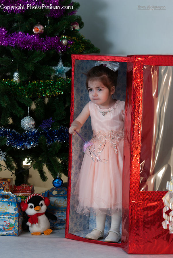 Human, People, Person, Toy, Evening Dress, Gown, Conifer