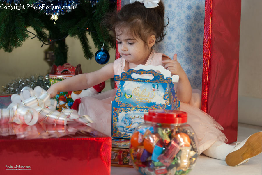 People, Person, Human, Candy, Confectionery, Sweets, Conifer