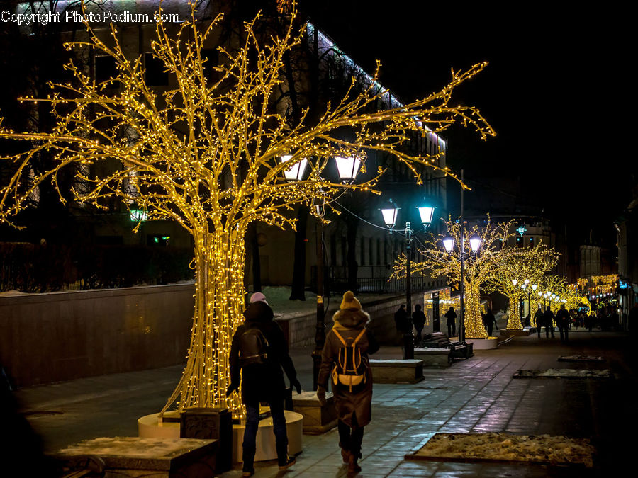 People, Person, Human, Mascot, Night, Outdoors, Bench