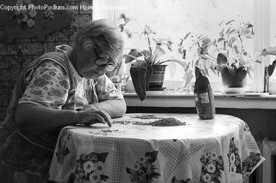 Plant, Potted Plant, People, Person, Human, Home Decor, Linen