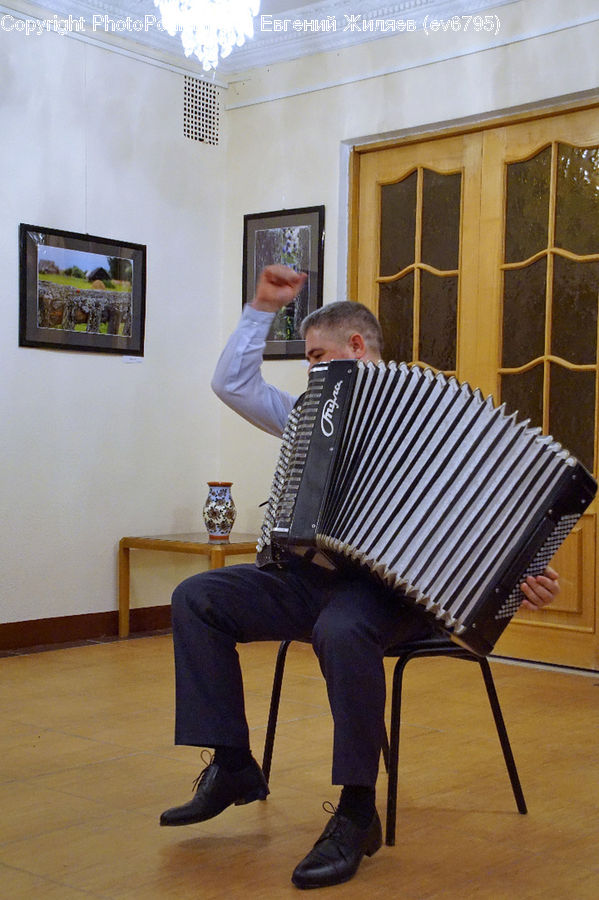 Accordion, Musical Instrument, Art, Painting, Flyer, Poster