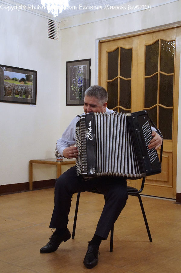 Accordion, Musical Instrument, People, Person, Human, Couch, Furniture
