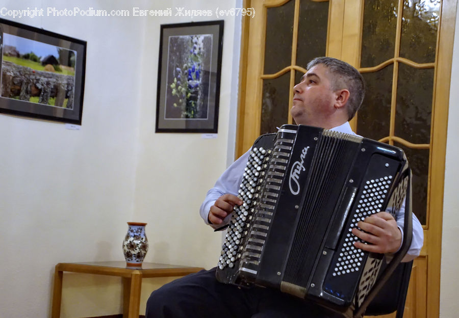 Accordion, Musical Instrument, Human, People, Person, Shelf, Art