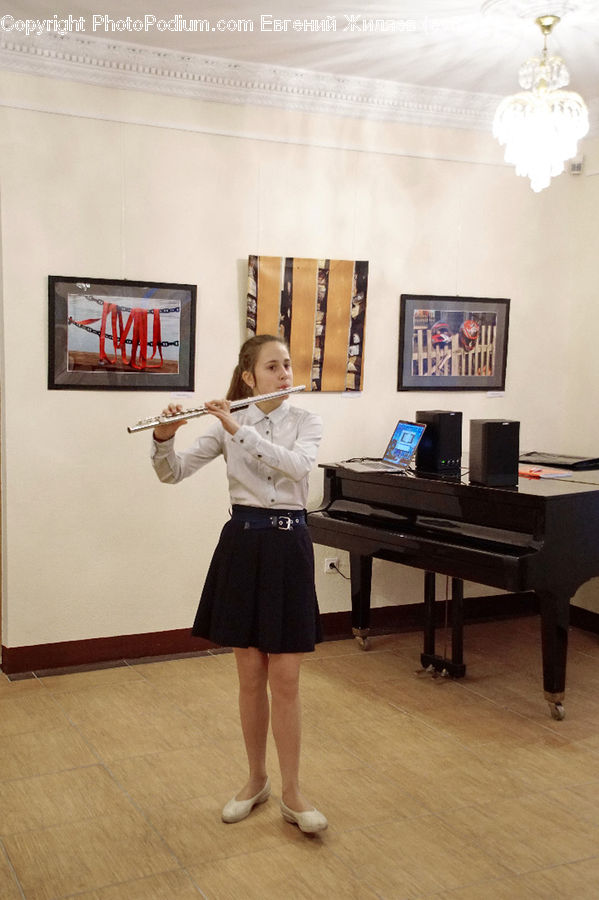 Musical Instrument, Piano, Grand Piano, Computer, Electronics, LCD Screen, Laptop