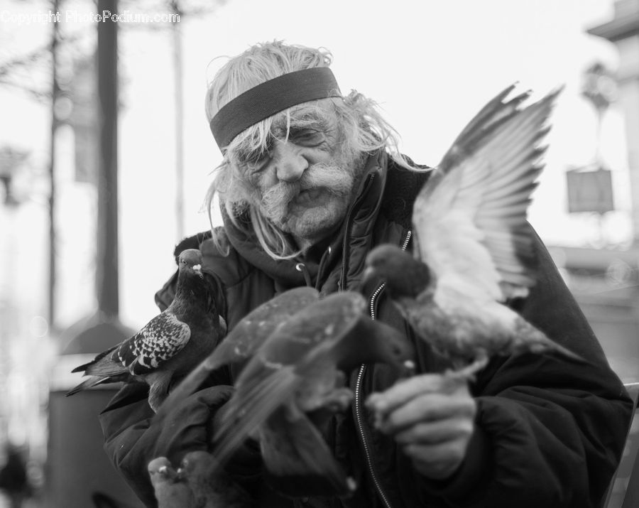 People, Person, Human, Bird, Pigeon, X-Ray, Performer