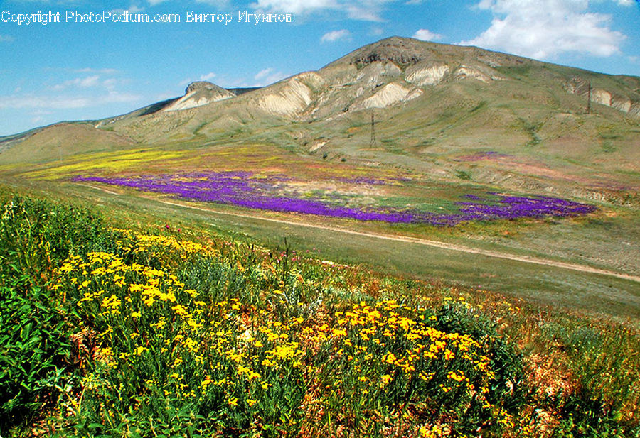 Field, Grass, Grassland, Land, Outdoors, Plateau, Nature