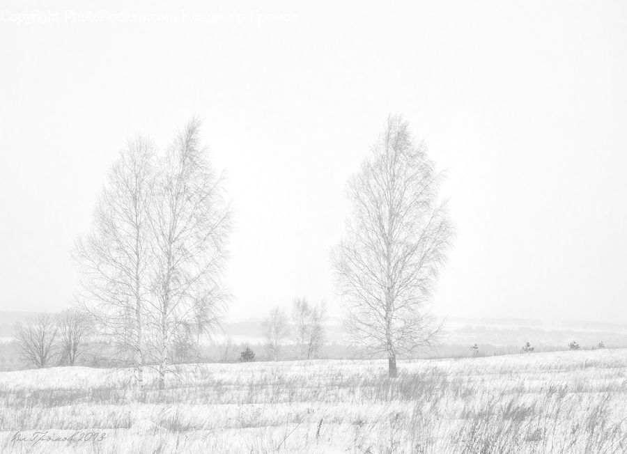 Frost, Ice, Outdoors, Snow, Countryside
