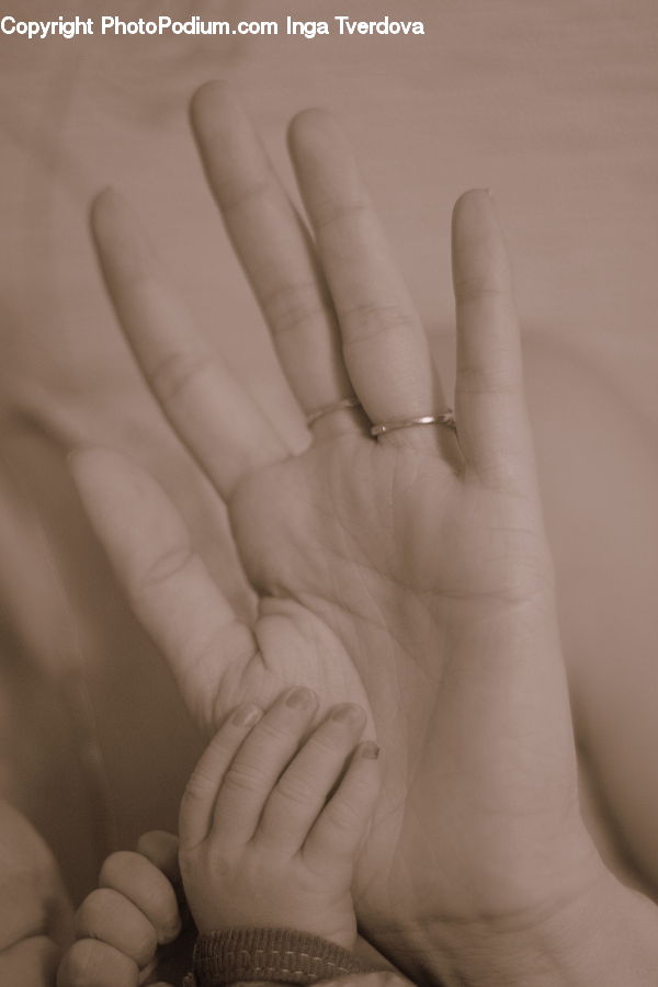 Finger, Hand