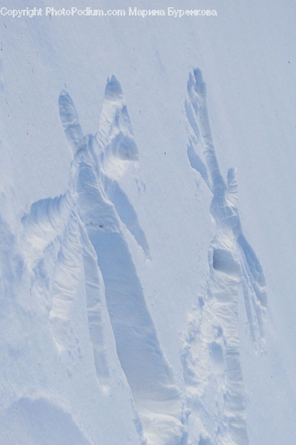 Snow, Snow Angel, Winter