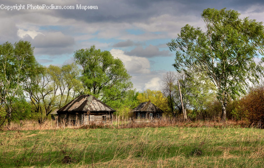 Field, Grass, Grassland, Land, Outdoors, Cabin, Hut