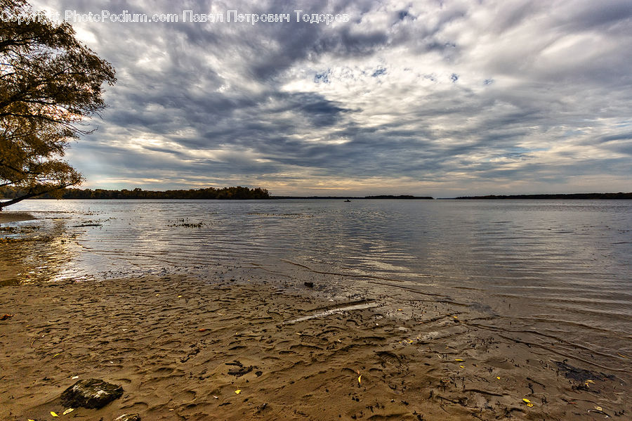 Beach, Coast, Outdoors, Sea, Water