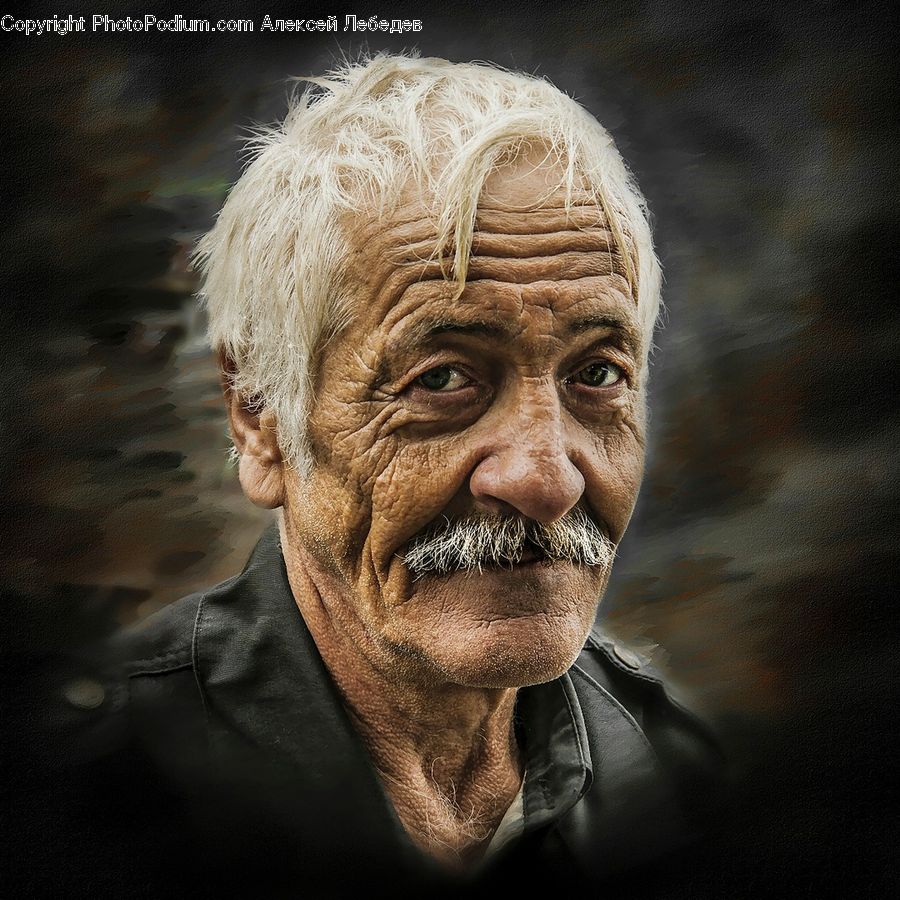 Face, People, Person, Portrait