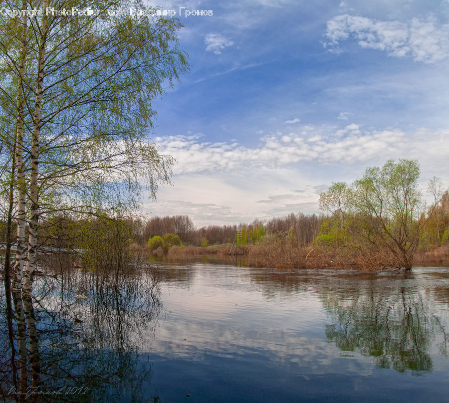 Land, Marsh, Outdoors, Swamp, Water, Pond, Field
