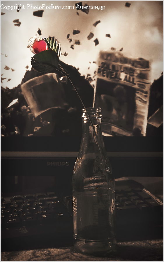 Alcohol, Beer, Beer Bottle, Beverage, Bottle, Drink, Arch