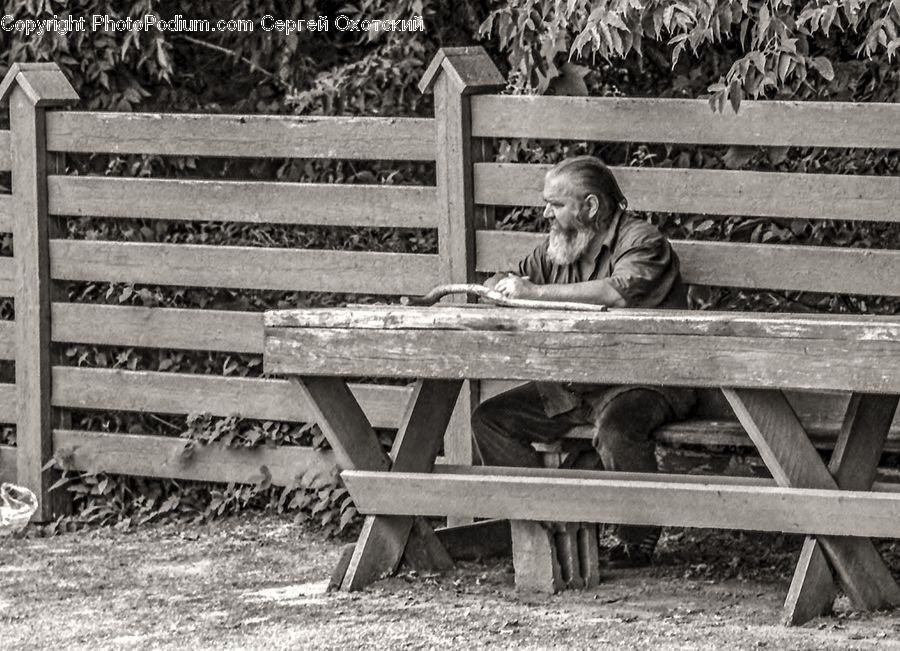 People, Person, Human, Bench, Man, Dirt Road, Gravel