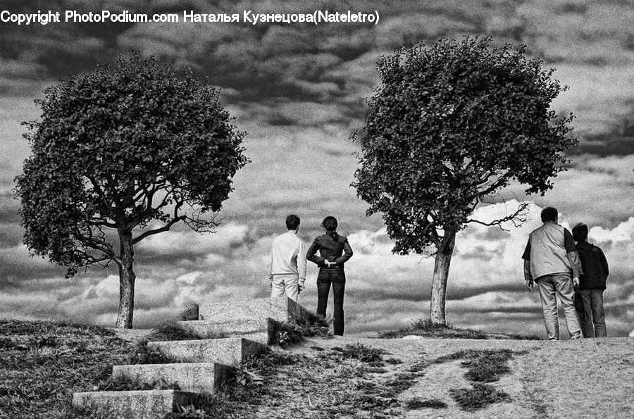 People, Person, Human, Plant, Tree, Countryside, Outdoors