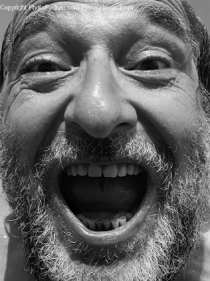 Face, Portrait, Smile, Head, Person