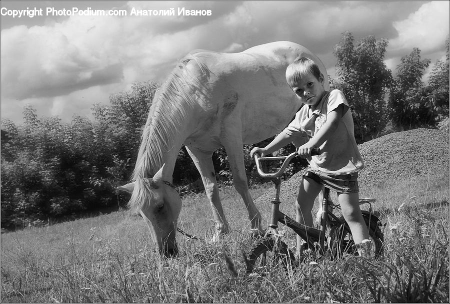 People, Person, Human, Countryside, Grassland, Grazing, Outdoors