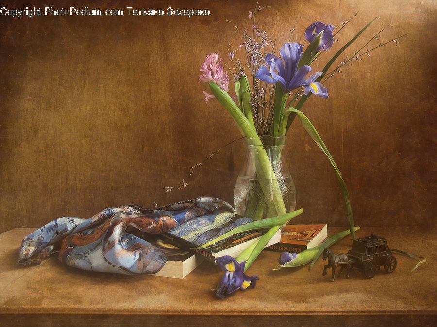 Blossom, Crocus, Flora, Flower, Plant, Flower Arrangement, Ikebana