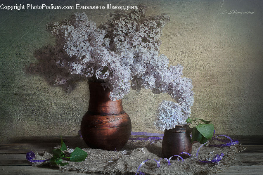 Jar, Porcelain, Vase, Pot, Pottery, Urn, Blossom