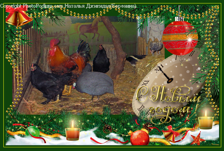 Lantern, Bird, Chicken, Cock Bird, Fowl, Rooster, Birthday Cake